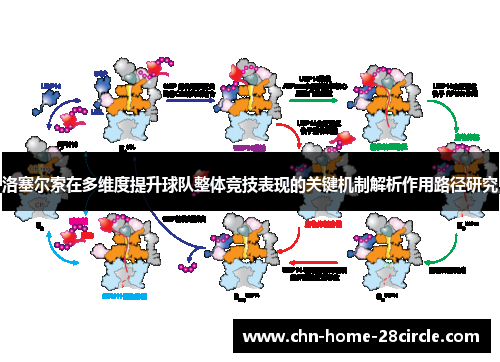 洛塞尔索在多维度提升球队整体竞技表现的关键机制解析作用路径研究 洛塞尔索在多维度提升球队整体竞技表现的关键机制解析作用路径研究