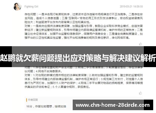 赵鹏就欠薪问题提出应对策略与解决建议解析