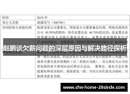 赵鹏谈欠薪问题的深层原因与解决路径探析 赵鹏谈欠薪问题的深层原因与解决路径探析