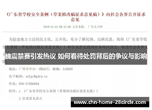 魏震禁赛引发热议 如何看待处罚背后的争议与影响